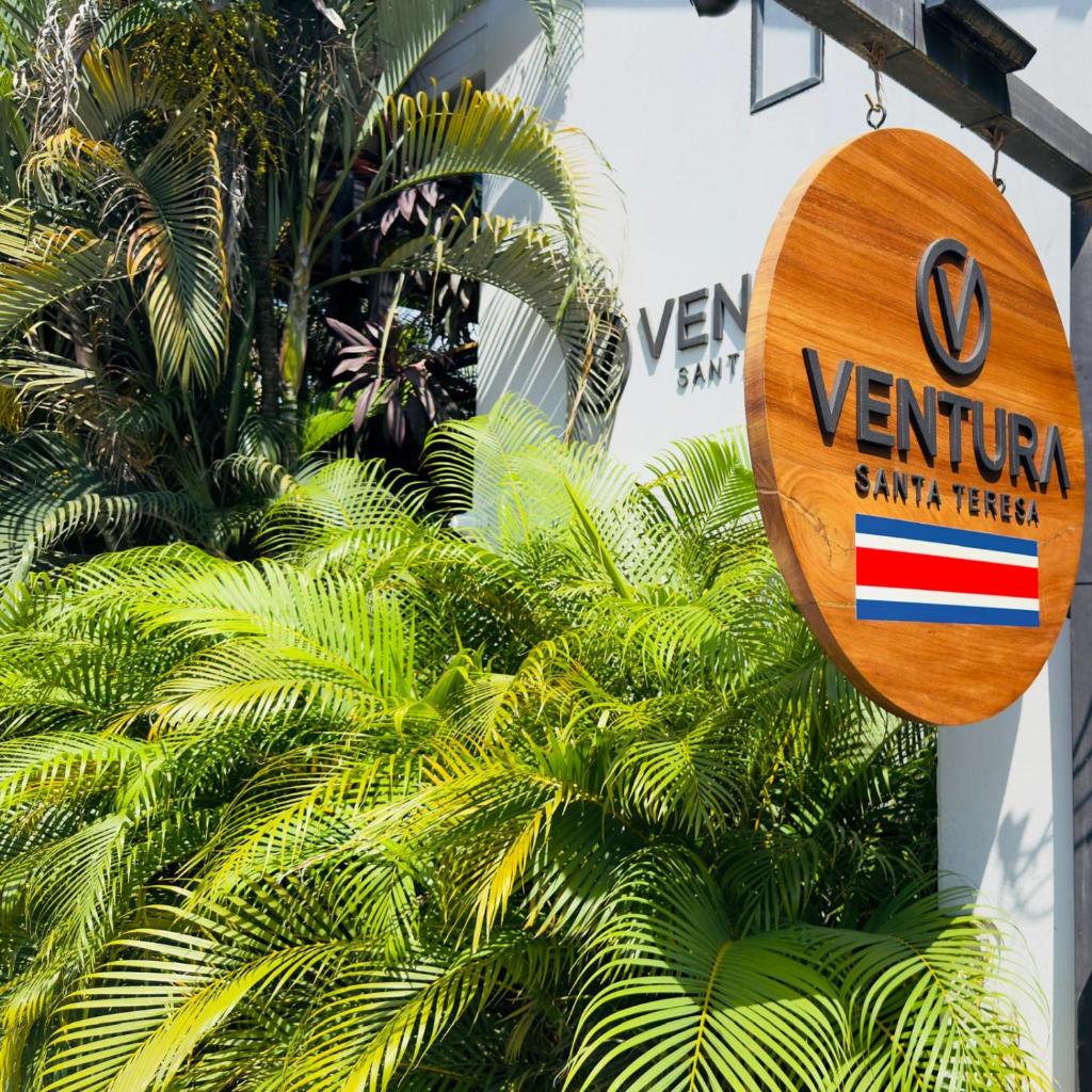 Ventura Santa Teresa — 