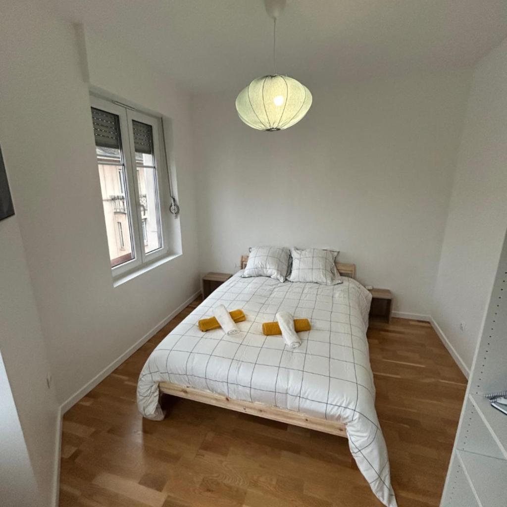 Photograph of Grand appart Moderne & Cosy - Centre - Strasbnb