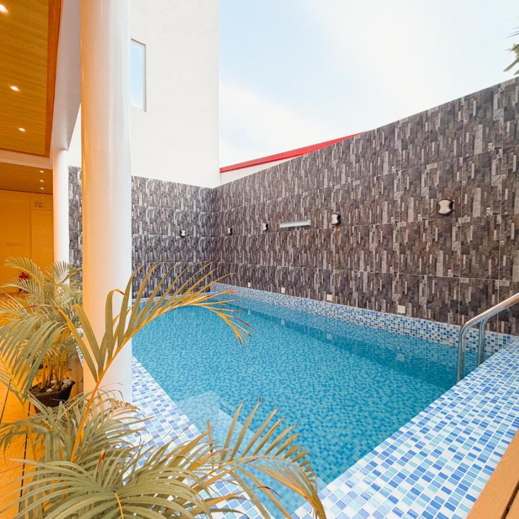 Pavona Maldives, photo 3