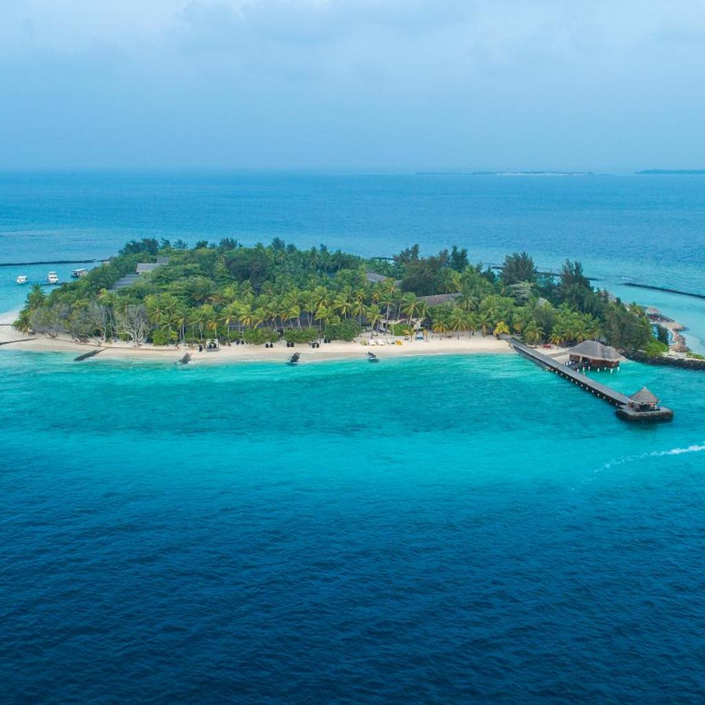 Taj Coral Reef Resort and Spa, photo 4