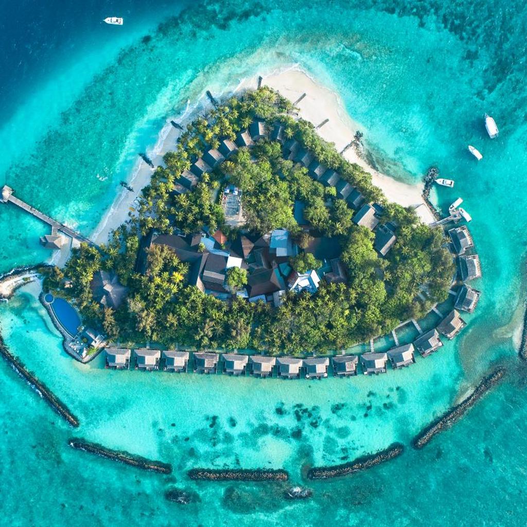 Taj Coral Reef Resort and Spa, image 1 of 6