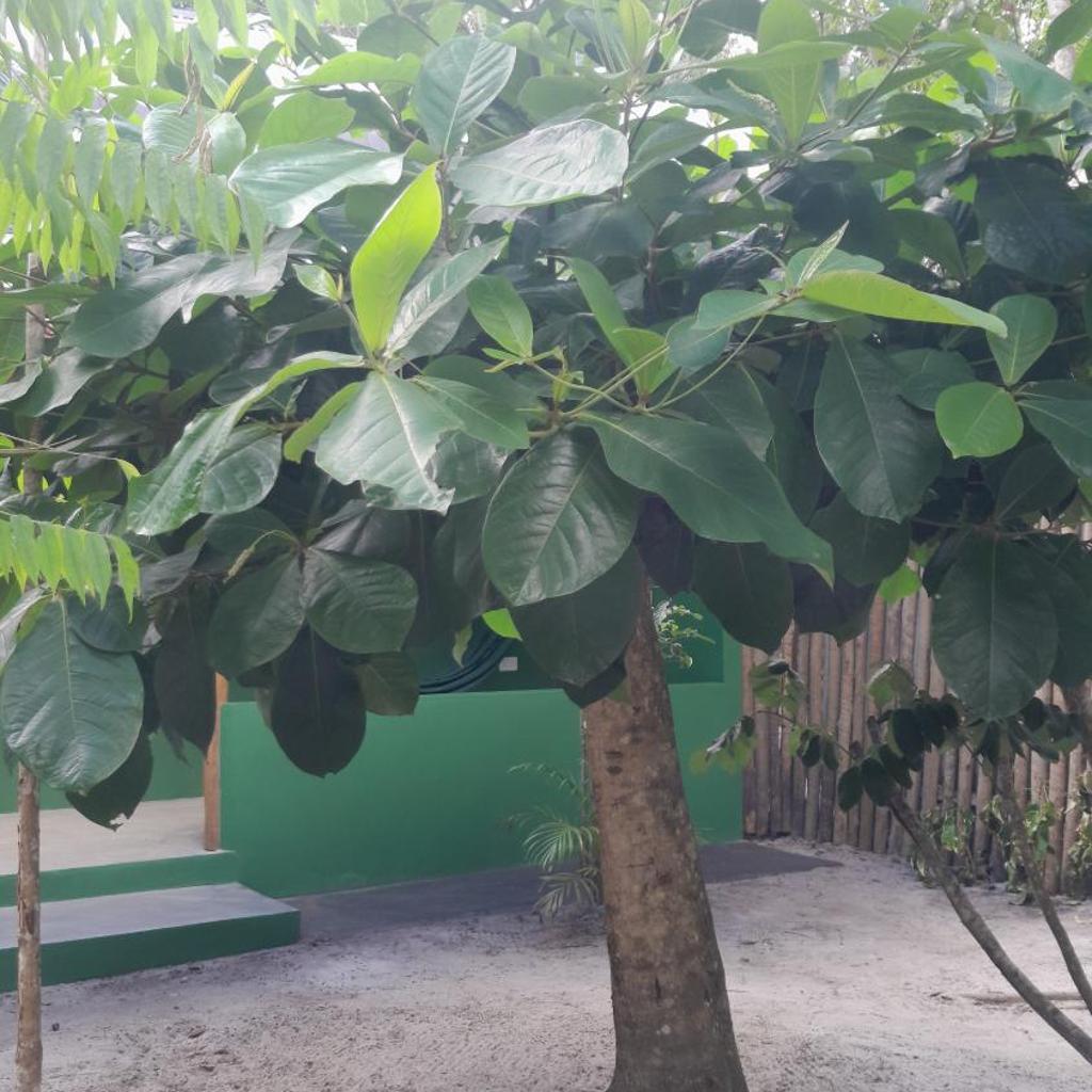 Chalés Guigó — foto 10
