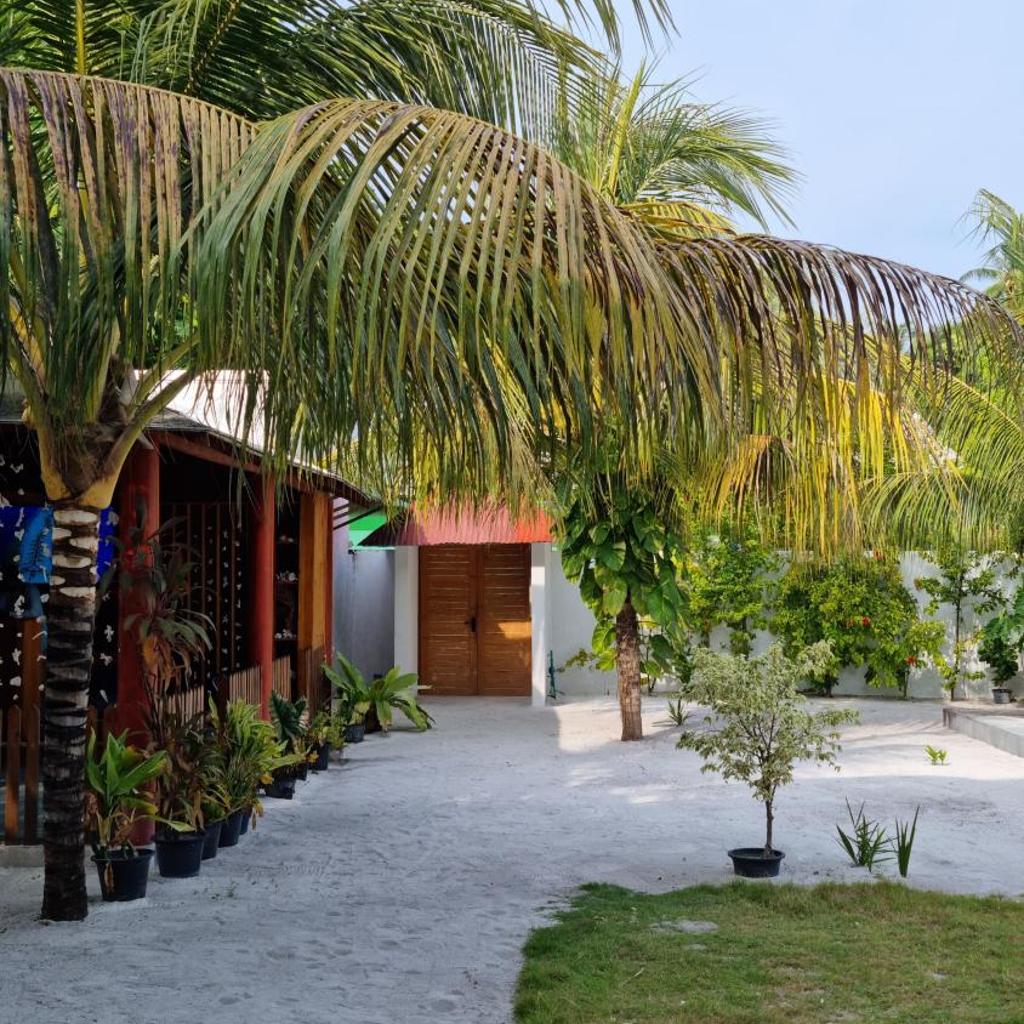 Dhonveli Inn, photo 4