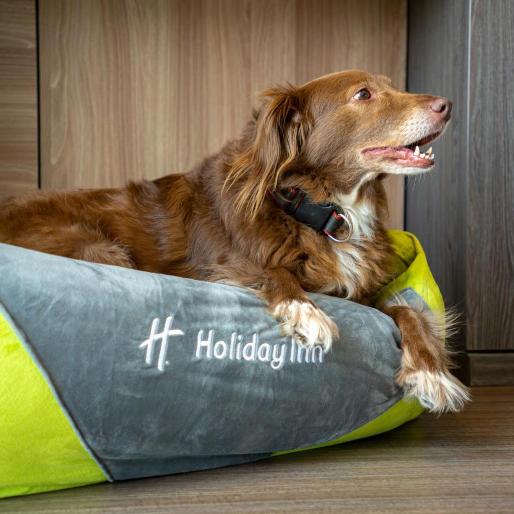 Holiday Inn Lima Miraflores by IHG — 