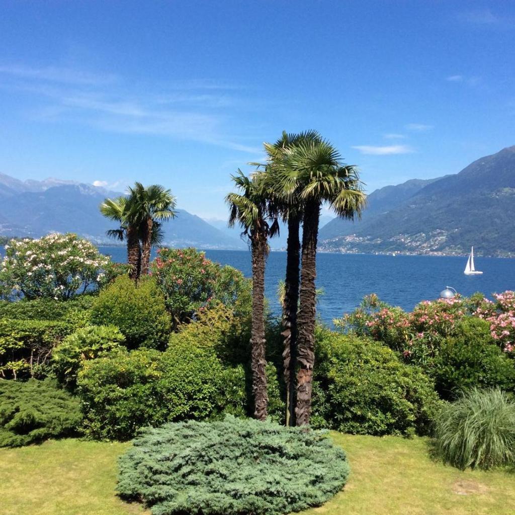 Image 22 - La Palma by Fewotessin