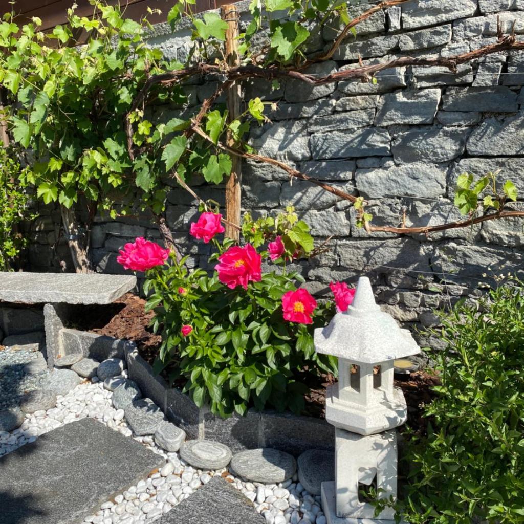 Image 37 - Ferienhaus Patrizia with a fantastic view of Lake Maggiore and the pool