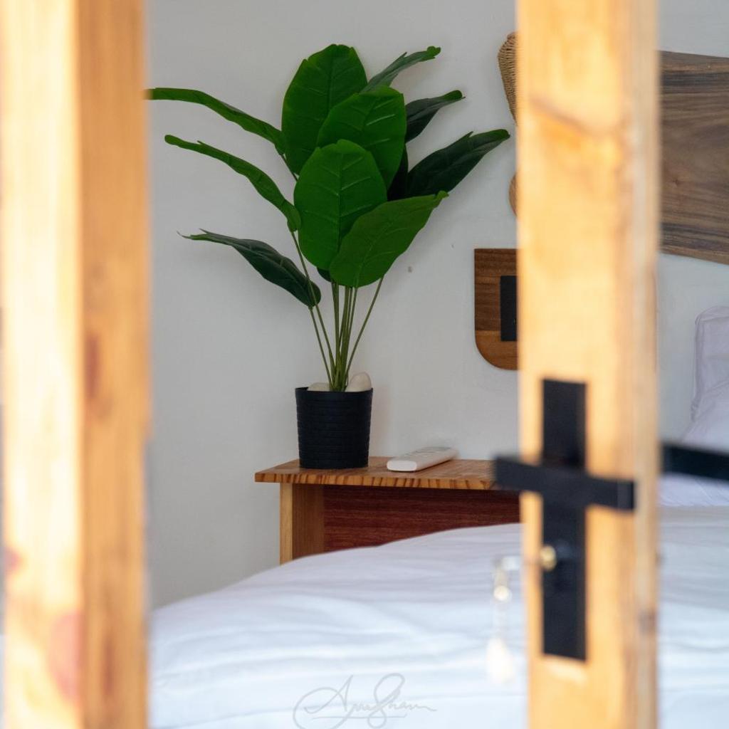 Coral stone, photo 3