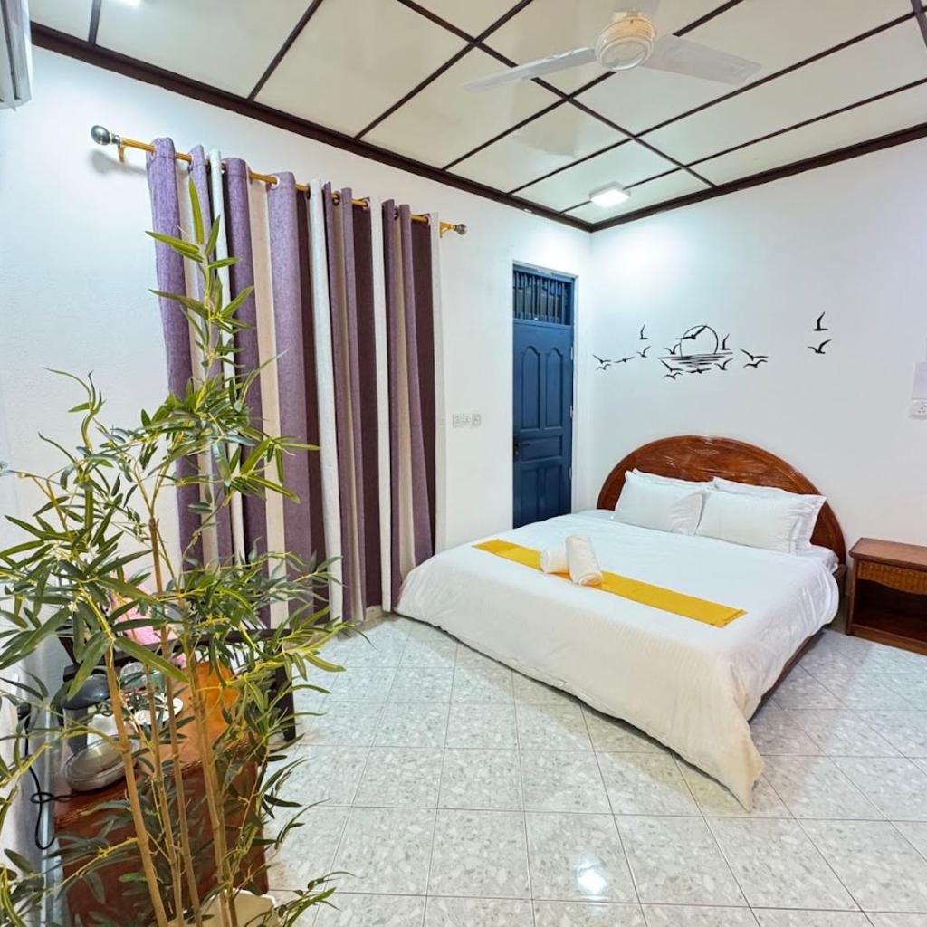 Bella Stay Inn Fvm, photo 3