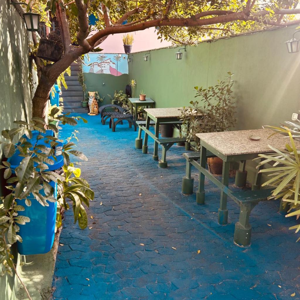 Onça da Praia Hostel — foto 9