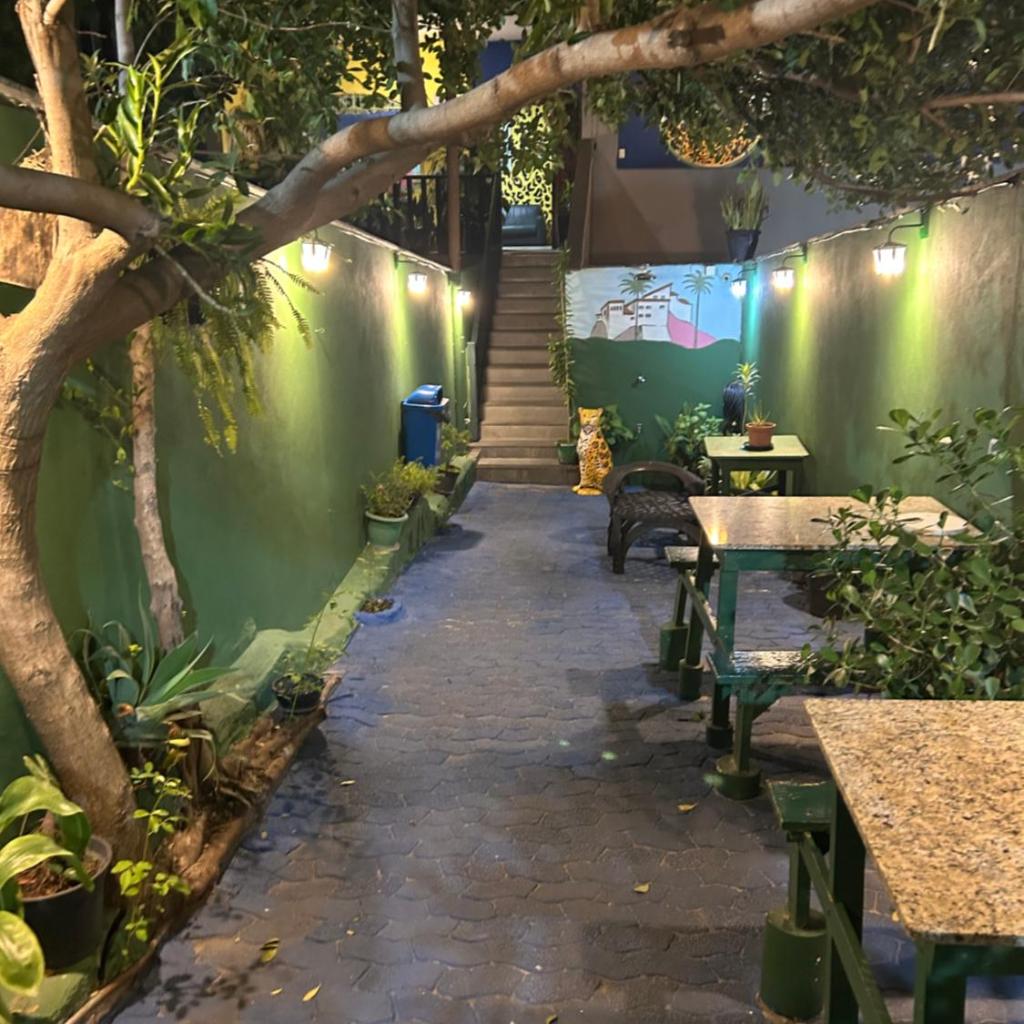 Onça da Praia Hostel — foto 12
