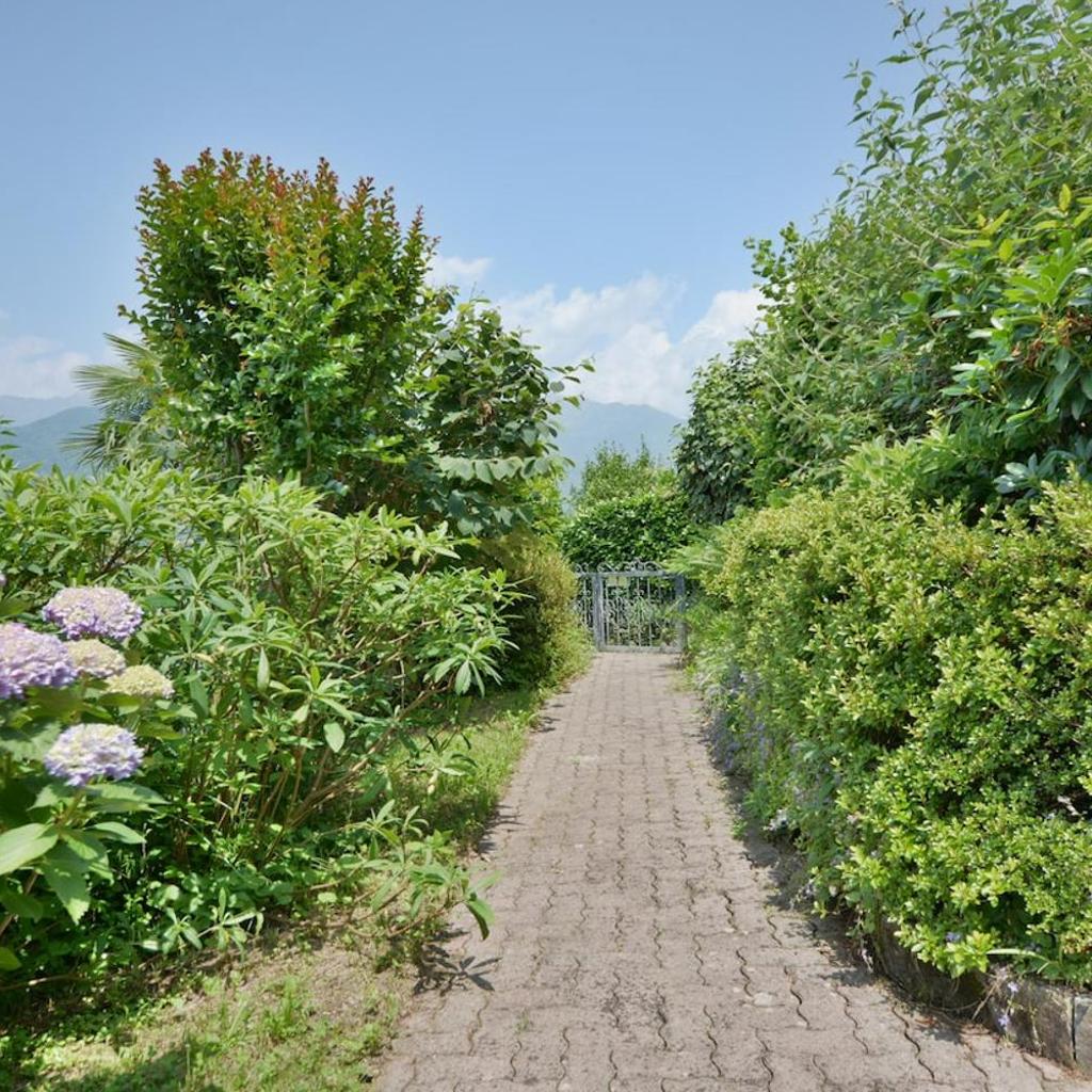 Image 2 - Miralago Lake Maggiore Gambarogno