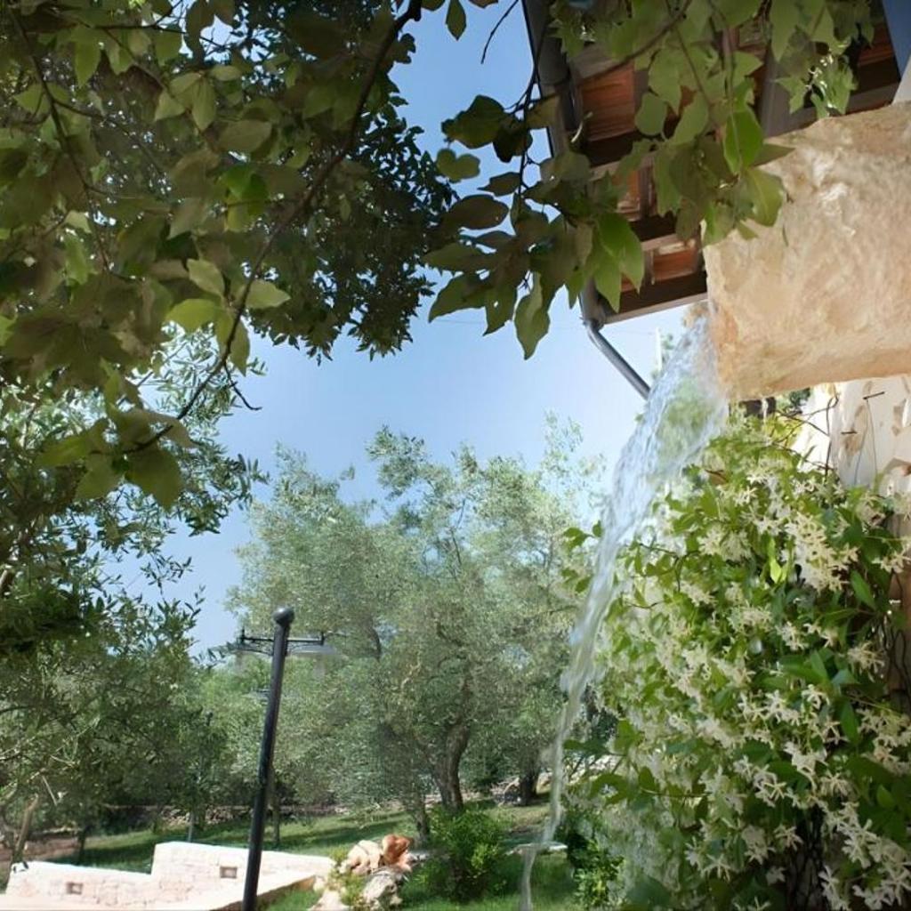 Trulli Bosco Selva photo