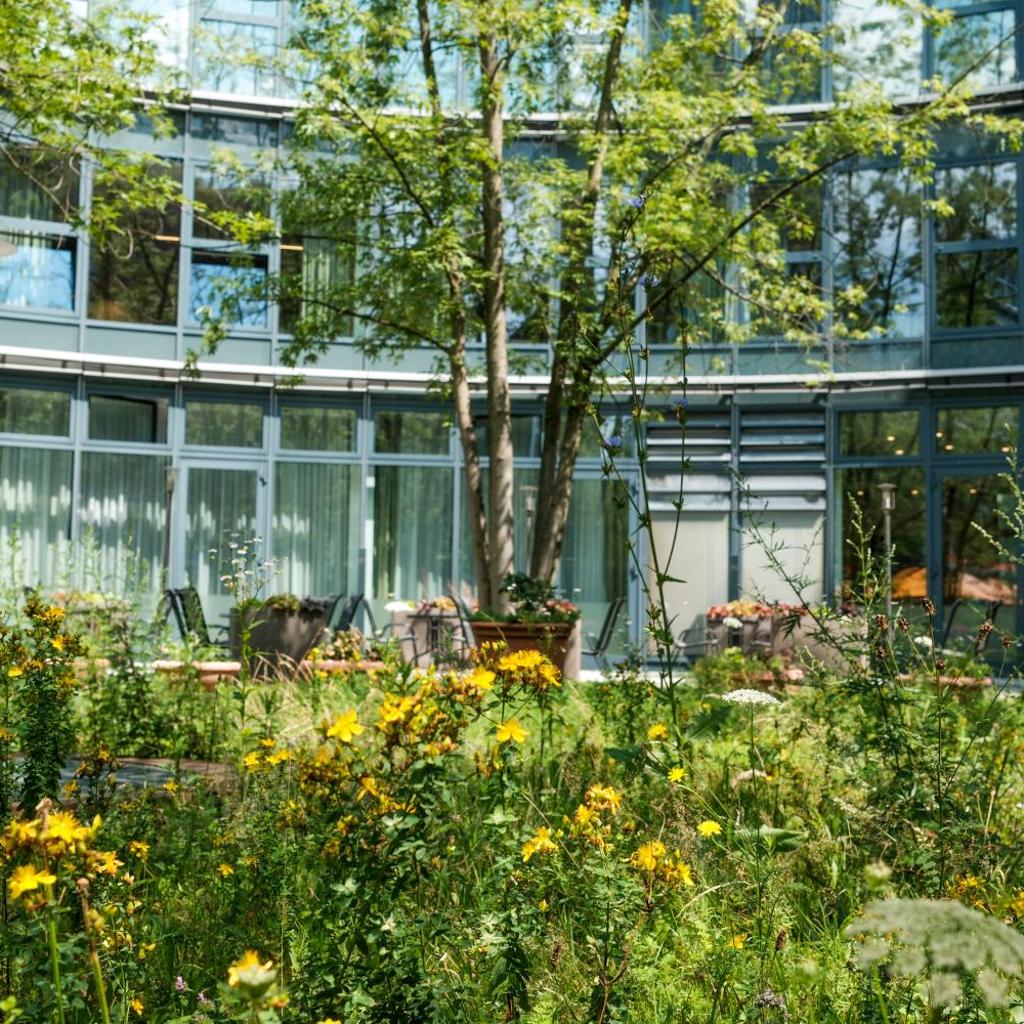 Photograph of Hotel am Borsigturm