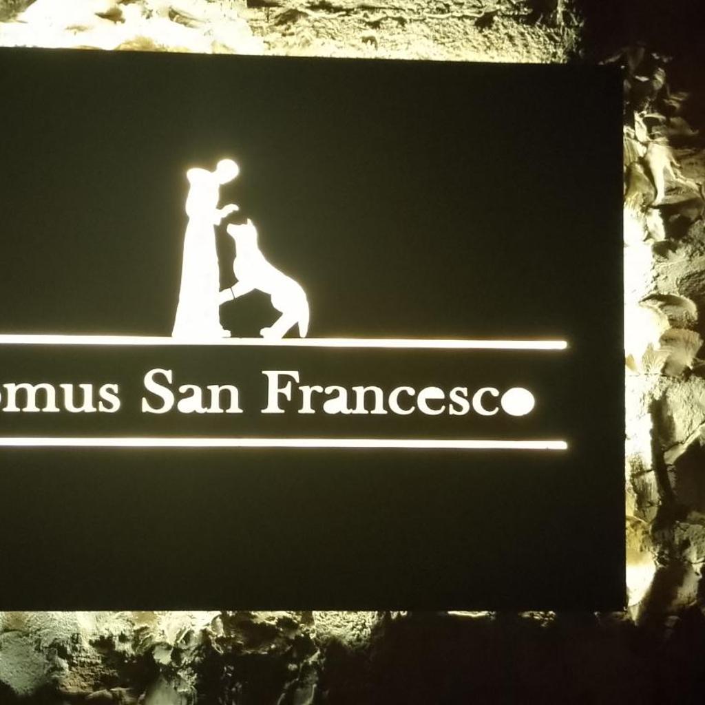 Domus San Francesco photo