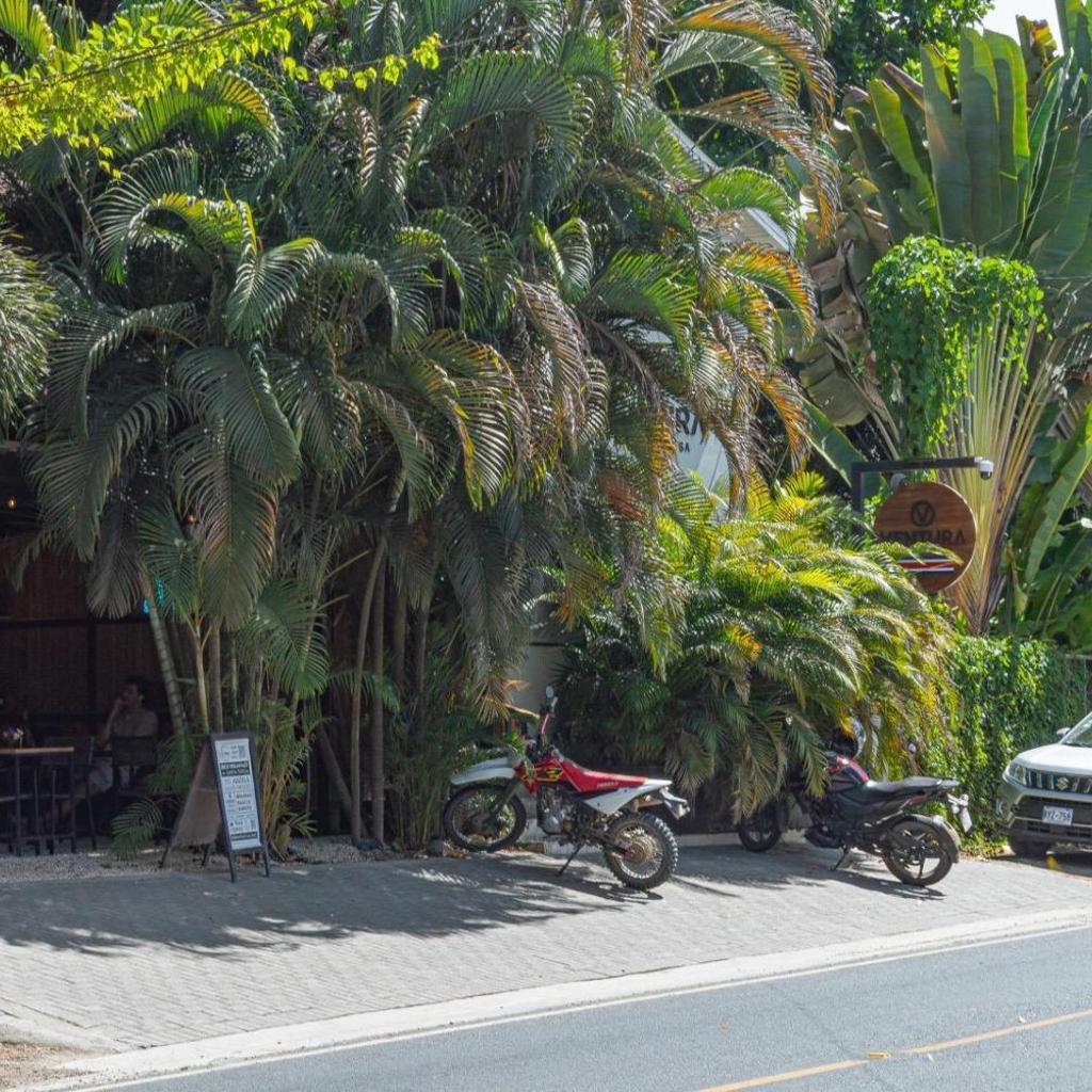Ventura Santa Teresa — 