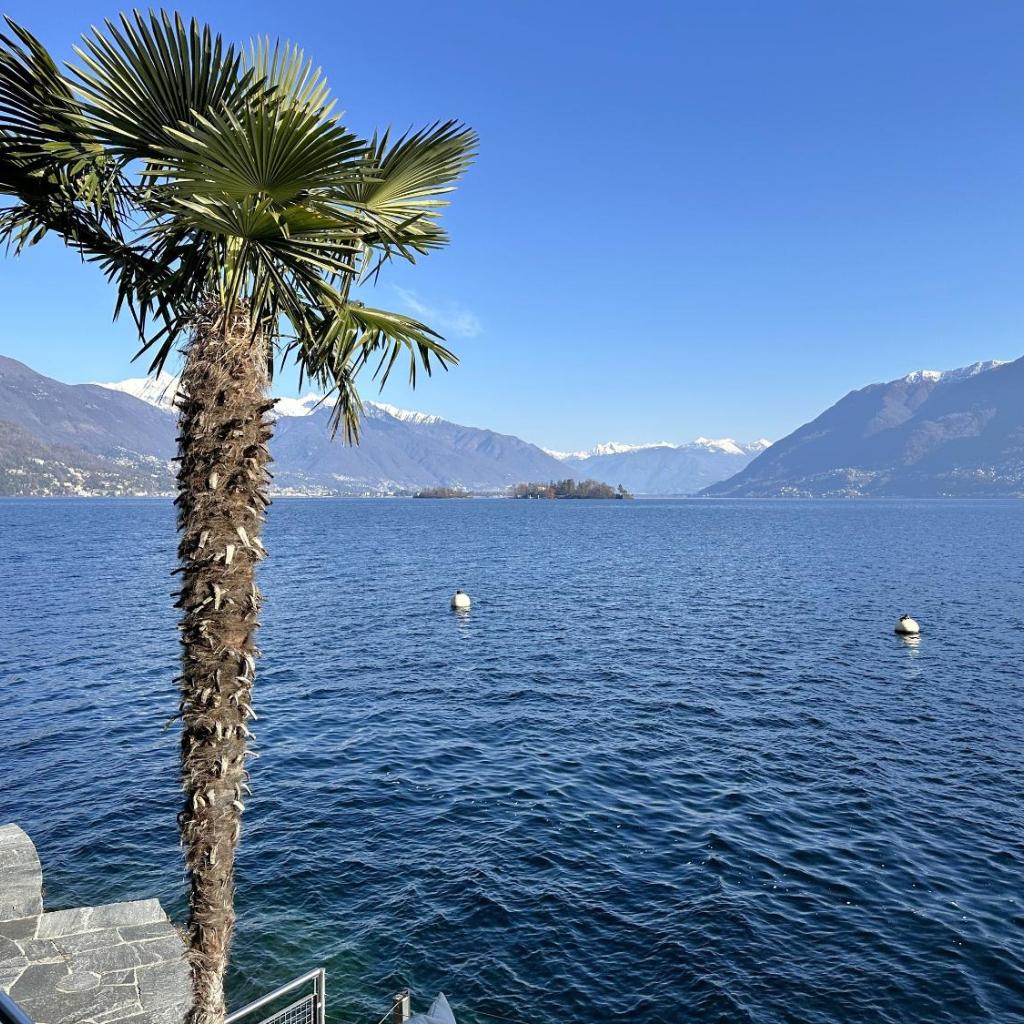 Image 25 - Residenza Delphin by Fewotessin