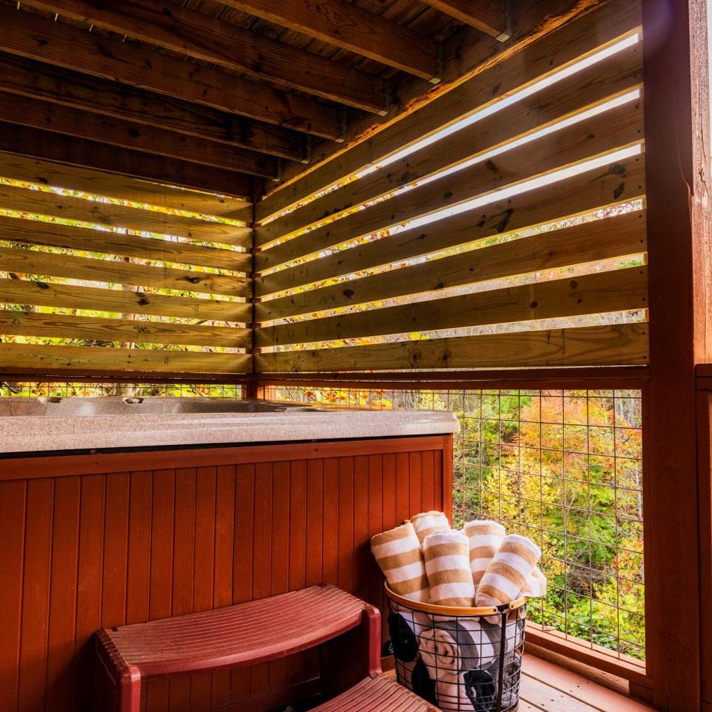 Photograph of Family Haven by Dollywood - Hot Tub - Game Room