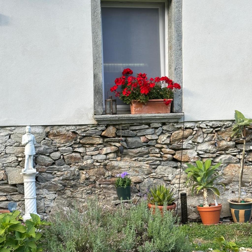 Image 190 - Casa Gatti