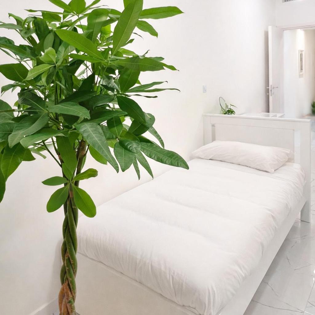 Photograph of Bed & Garage Apartment in Villa