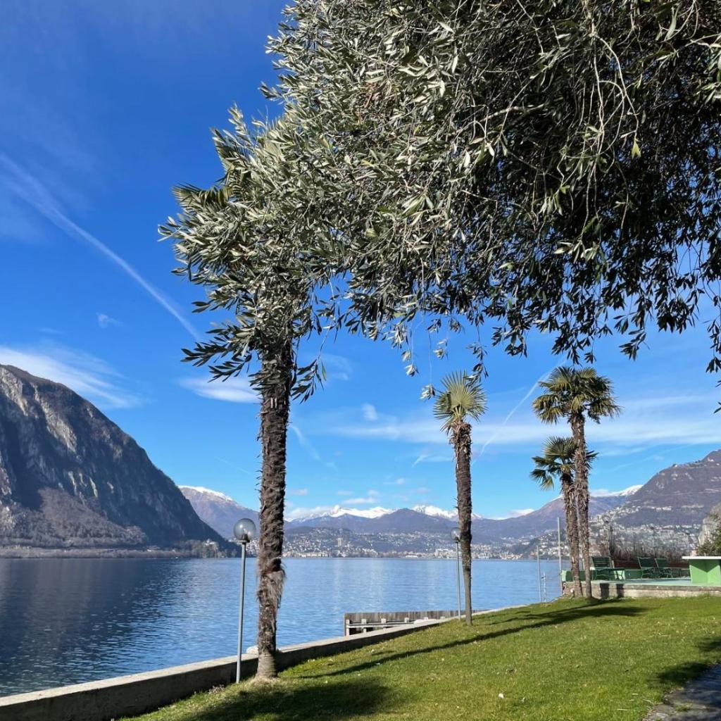 Image 27 - Charming Suite am Luganersee, Pool, Parkplatz