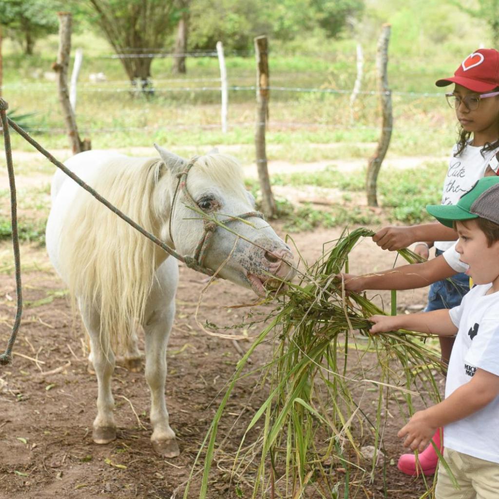 Pousada Fazenda Santa Fe — foto 9