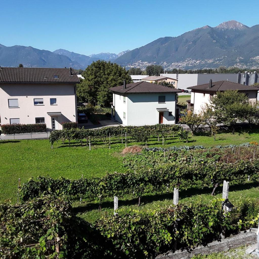 Image 5 - Holiday Home IL VULCANO