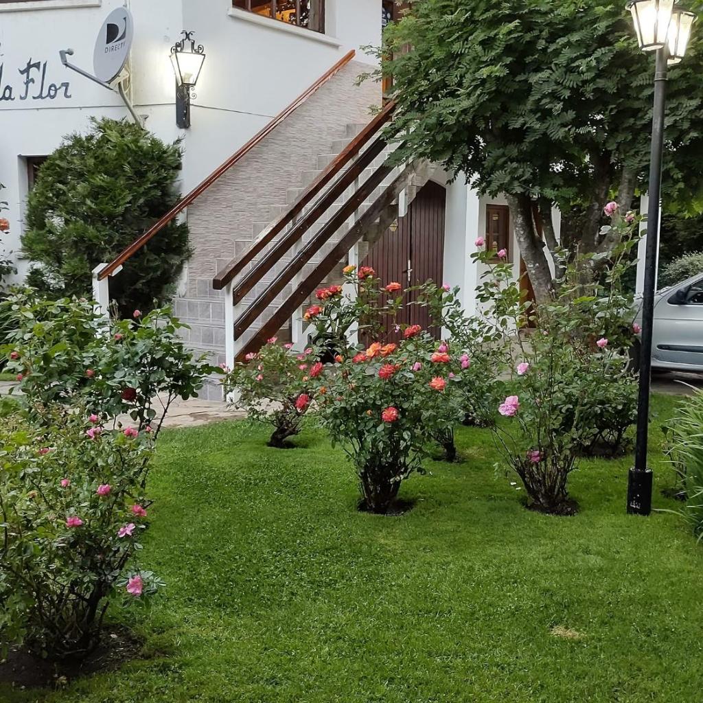 Foto 40