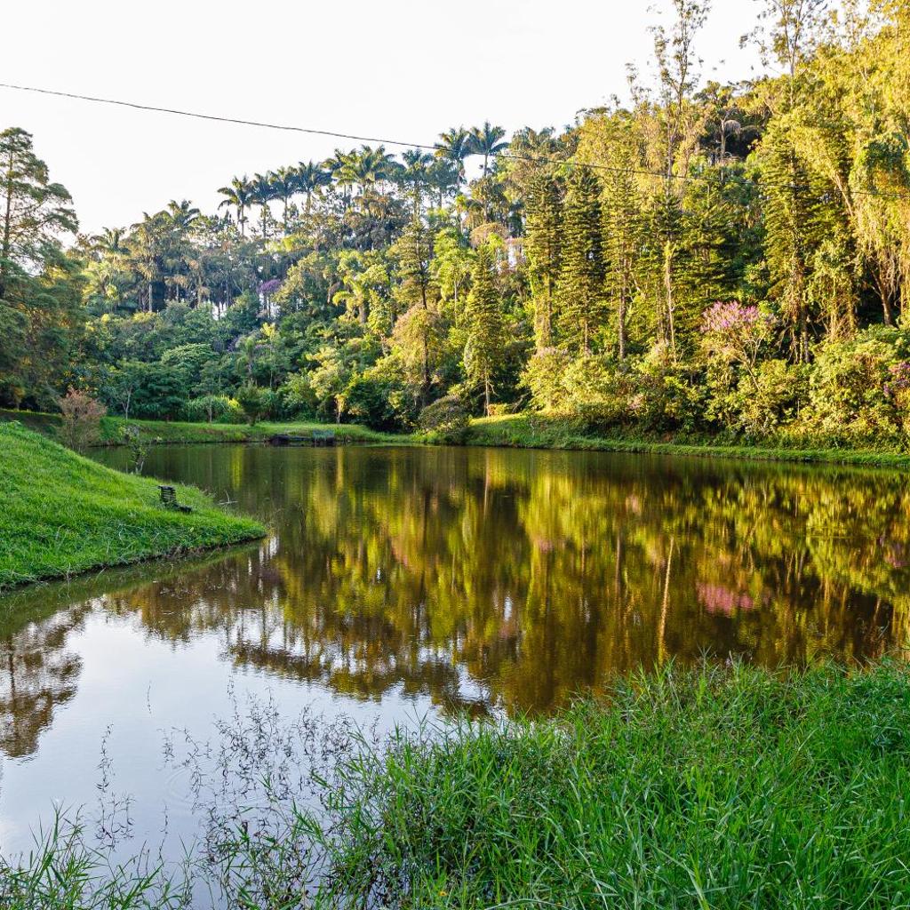 Fazenda Santanna Hotel — foto 6