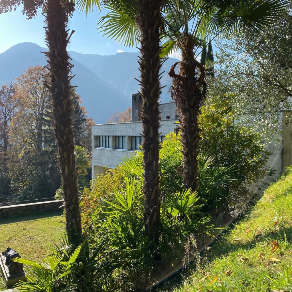 Image 11 - Villa Cavalli