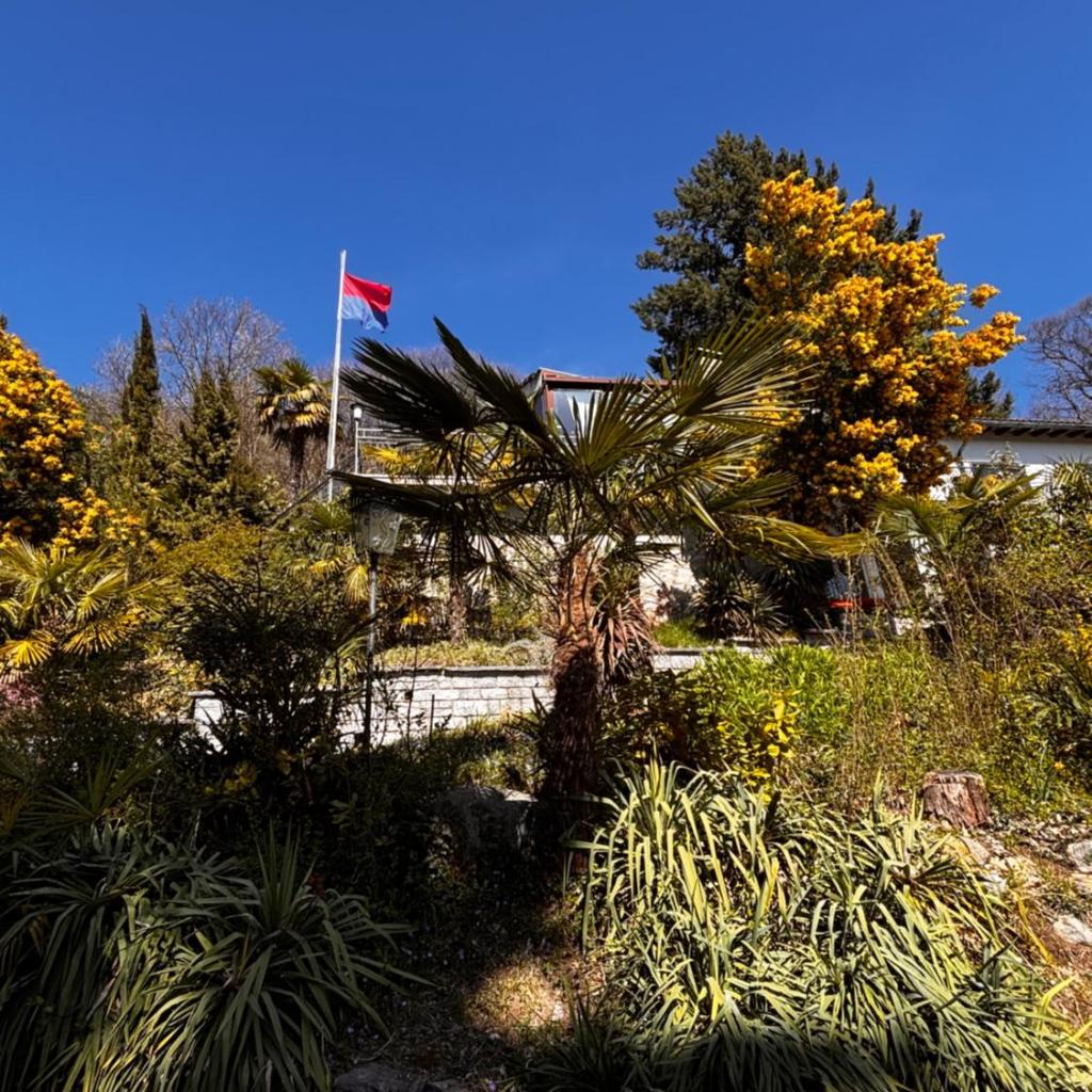 Image 52 - Il Bell'Ovile, bellissima villa nel verde, con privacy garantita
