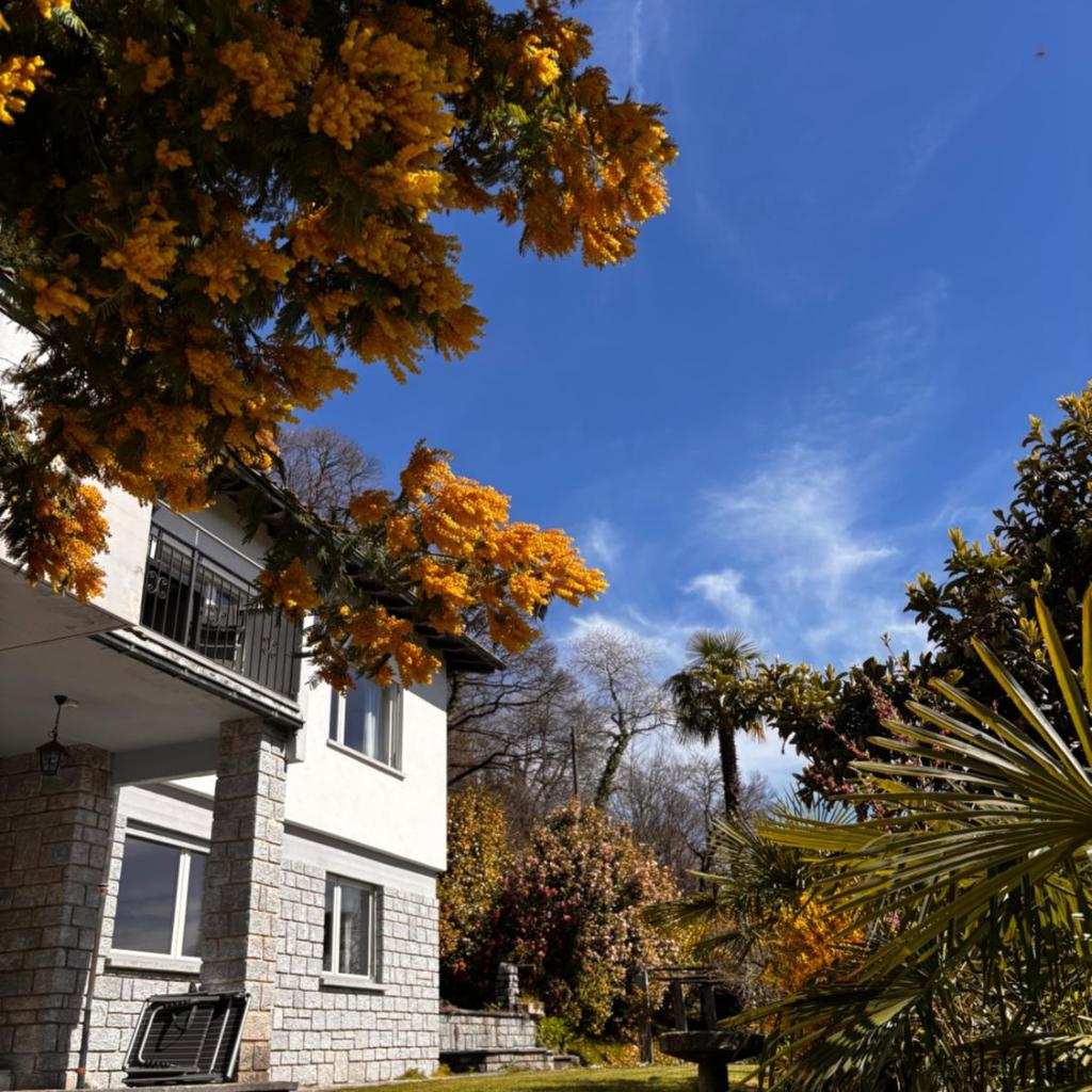 Image 53 - Il Bell'Ovile, bellissima villa nel verde, con privacy garantita