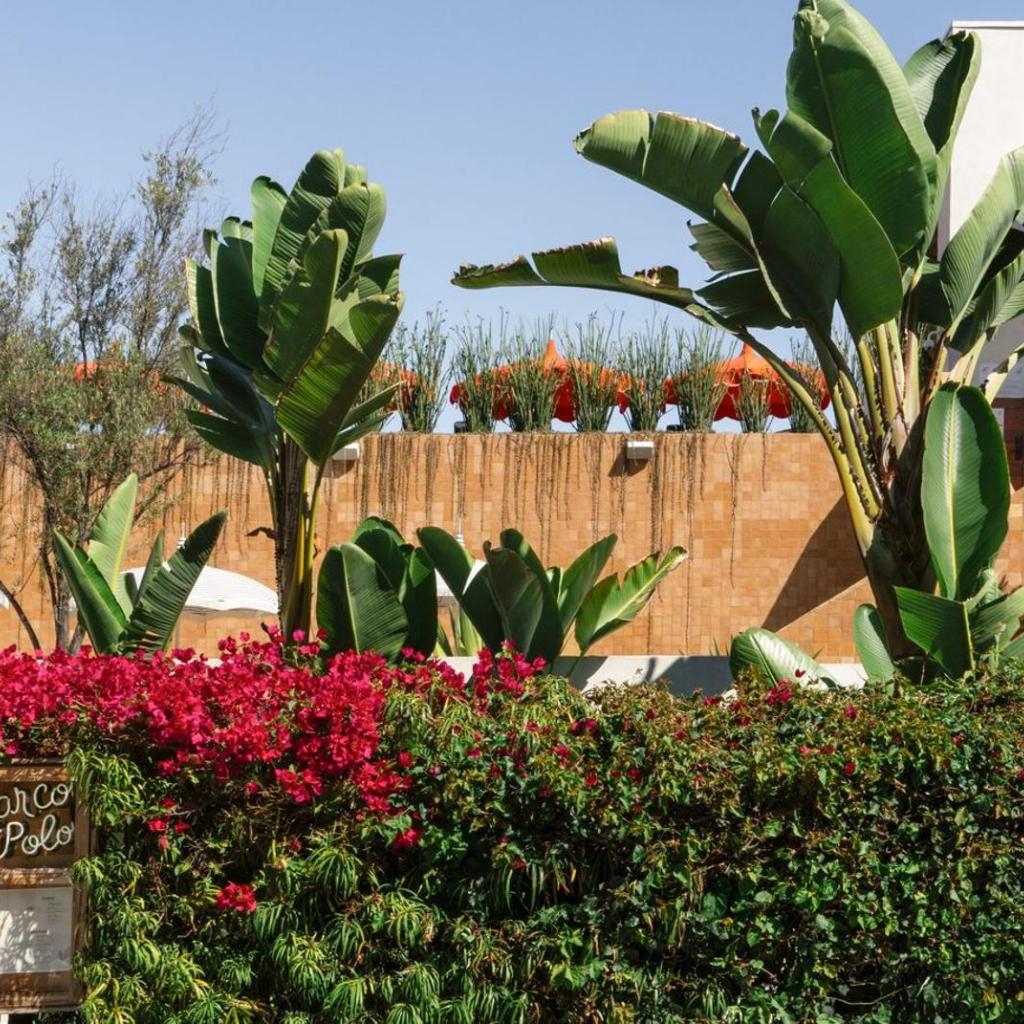 Photograph of Silver Lake Pool & Inn
