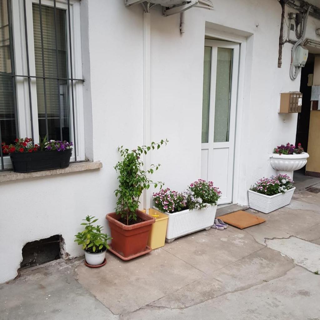 Photograph of Casa Bon Bon, tra il Valentino e il cuore di Torino