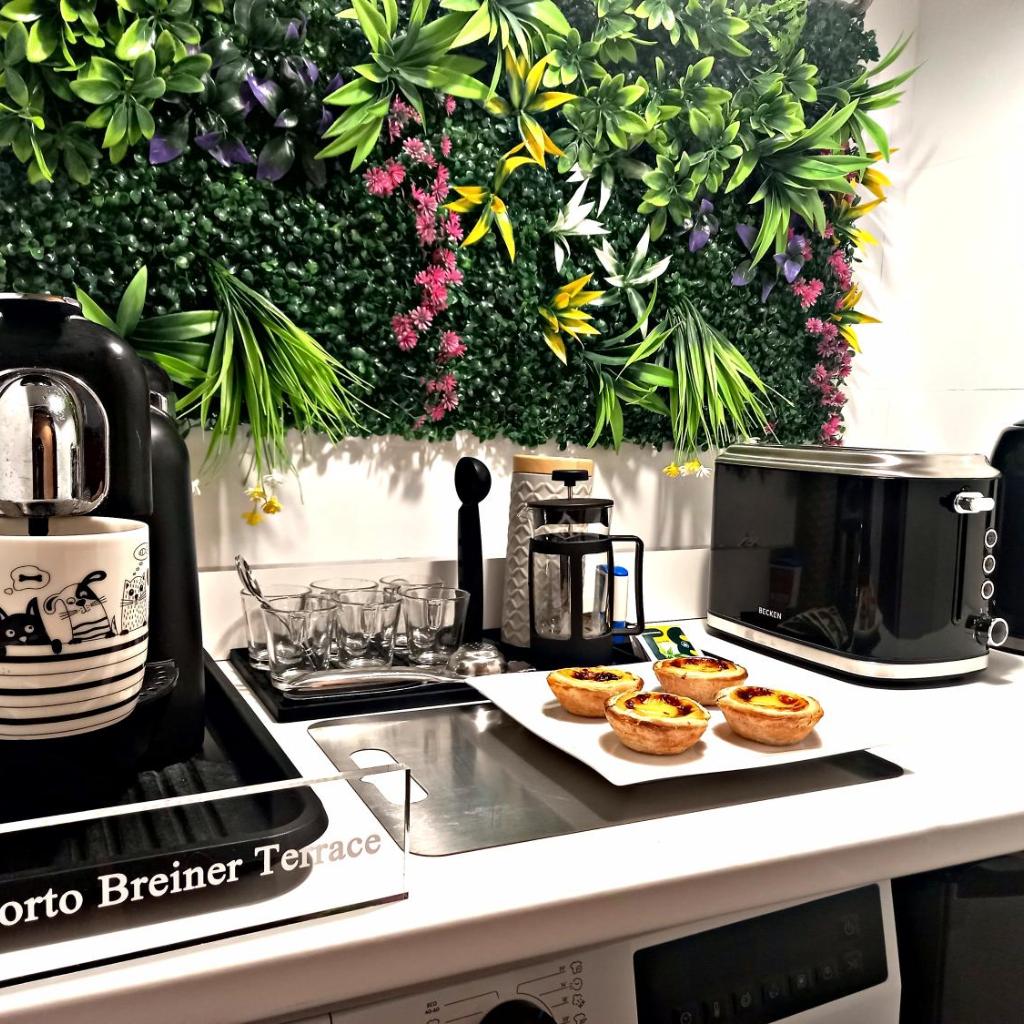 Photograph of Oporto Breiner Terrace Apartment