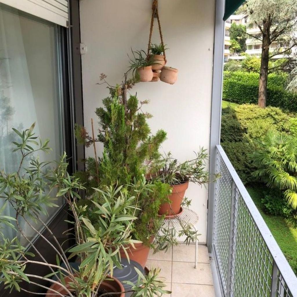 Image 12 - Apartment Freie Sicht auf See und Berge by Interhome