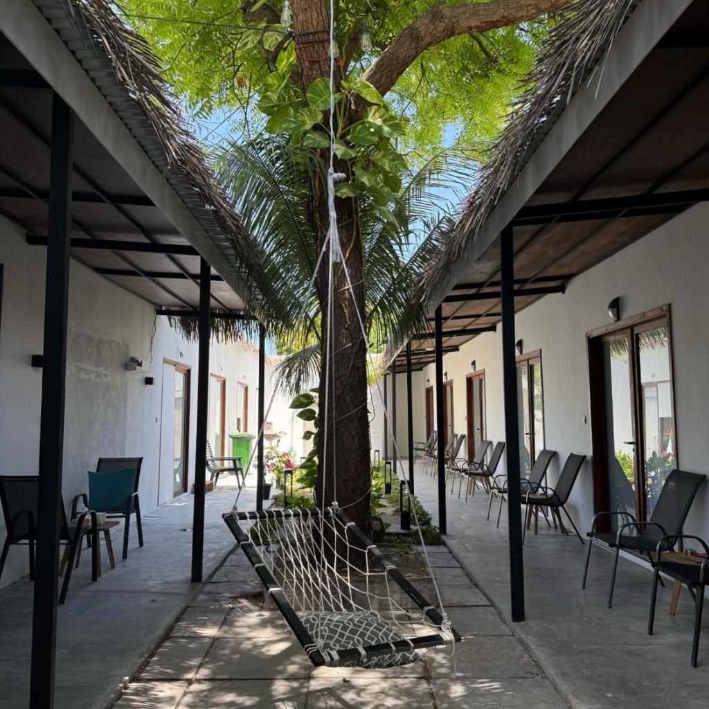 Beachwalk Garden Thoddoo, photo 2