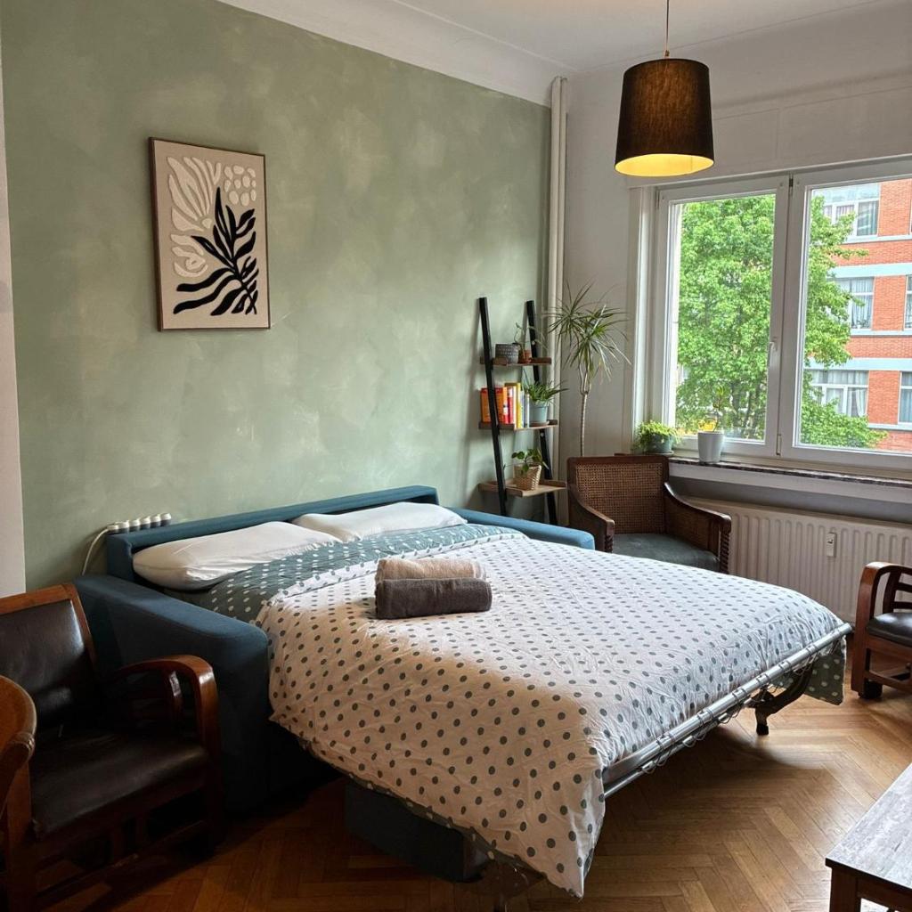 Photograph of Spacious Home in Brussels