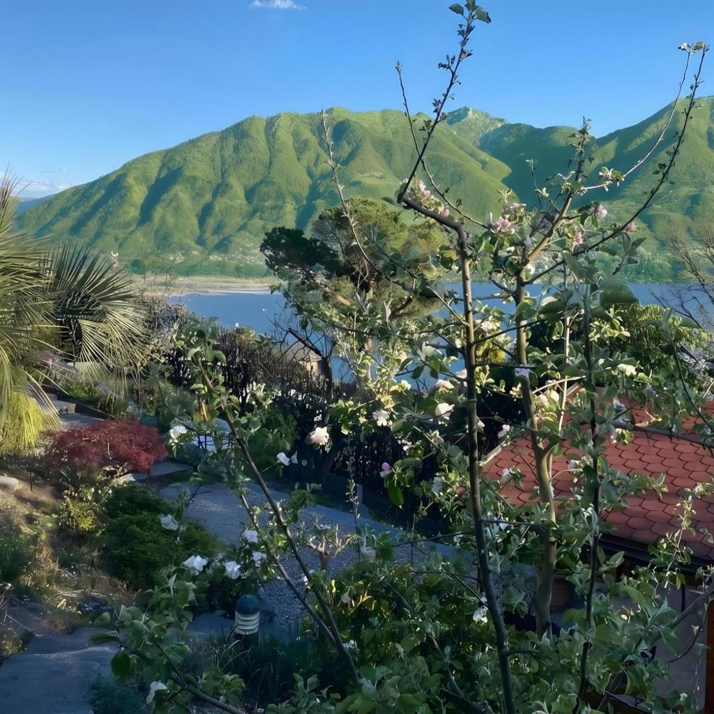 Image 18 - Locarno Area: Quiet Lake view escape 1 - Happy Rentals