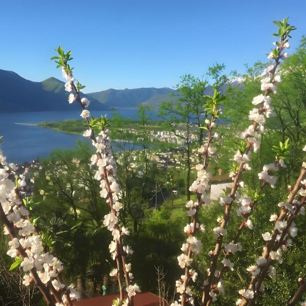 Image 19 - Locarno Area: Quiet Lake view escape 1 - Happy Rentals