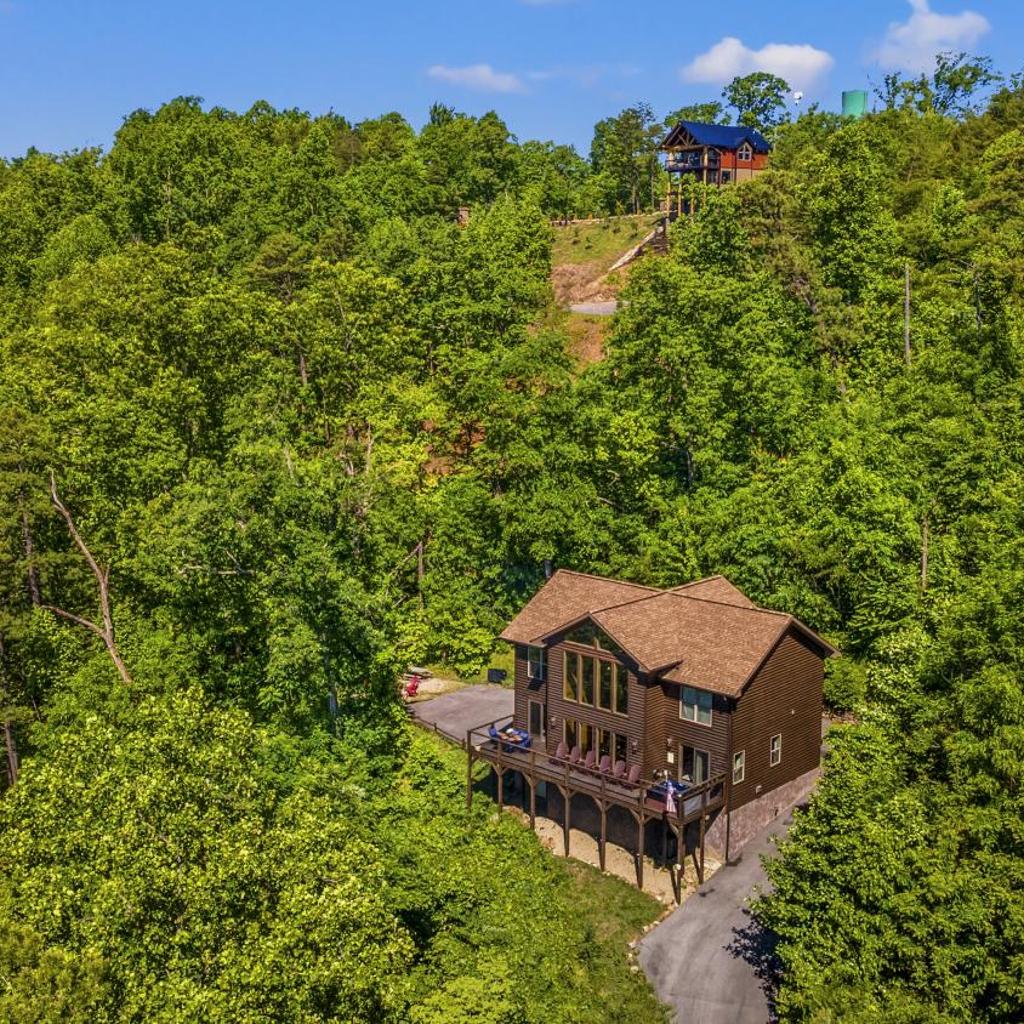 Photograph of A Tree Top View home