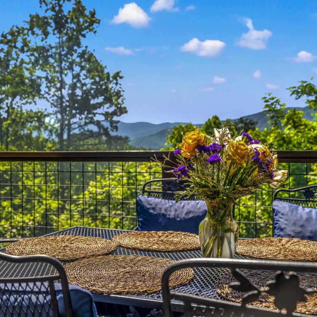 Photograph of A Tree Top View home