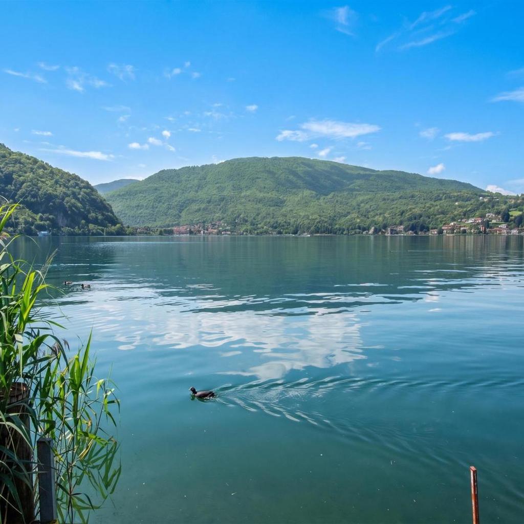 Image 21 - Al Pontile Di Caslano - Happy Rentals