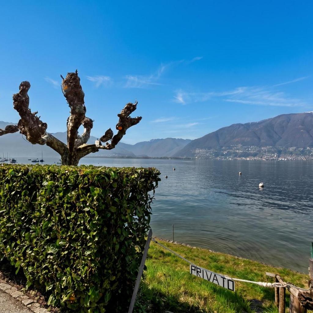Image 15 - Garden on the lake 2 - Happy Rentals