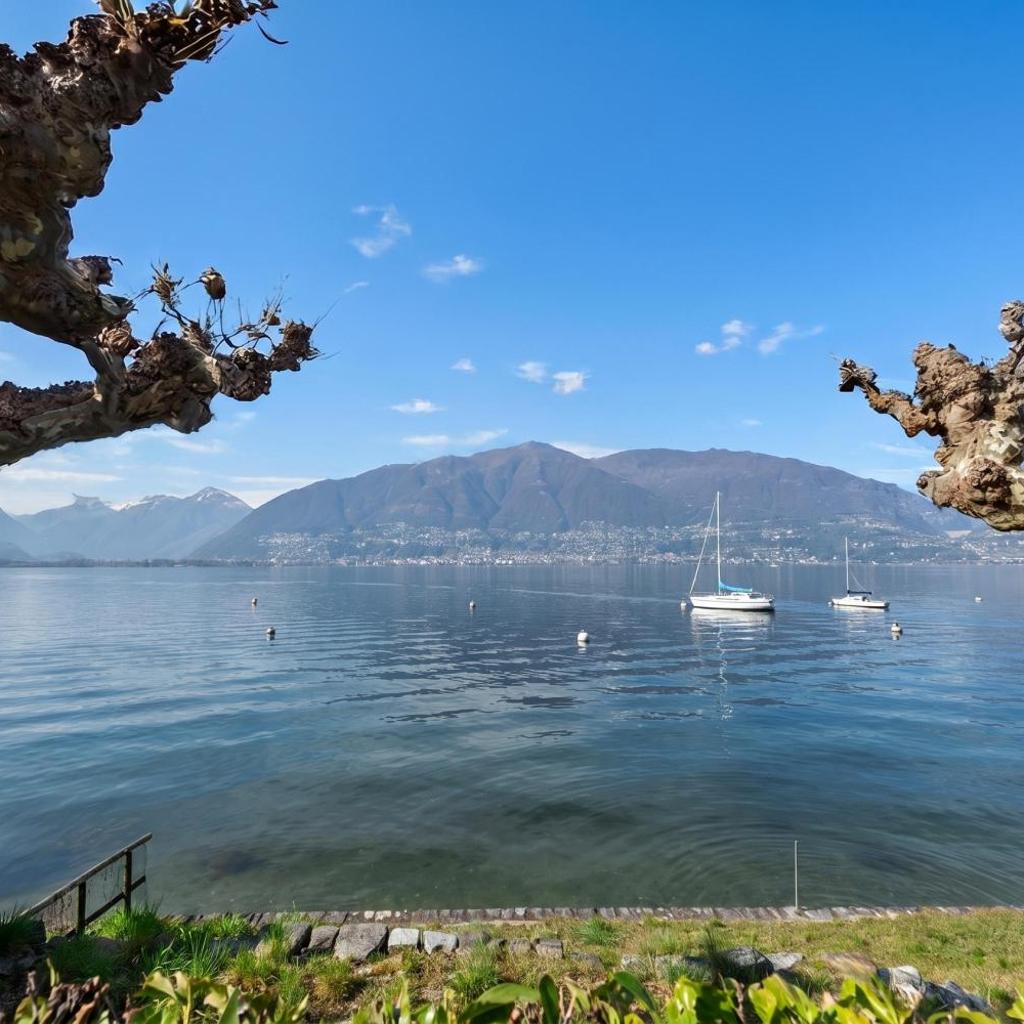 Image 17 - Garden on the lake 2 - Happy Rentals