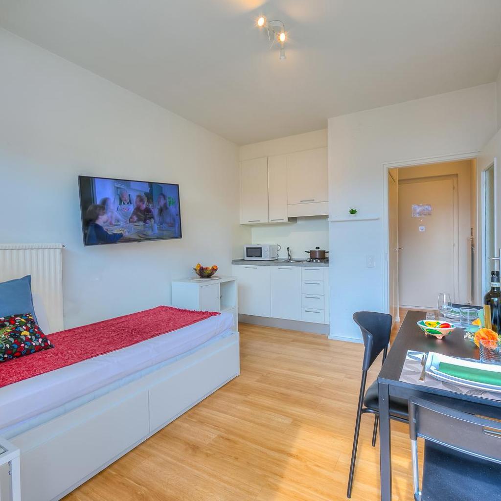Image 9 - Cosy Home Lugano Few Min From Lake - Happy Rentals