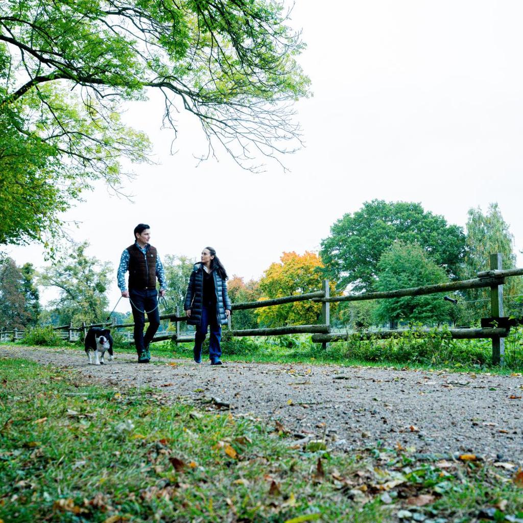 Farmer Hotel Basedow & Spa — 