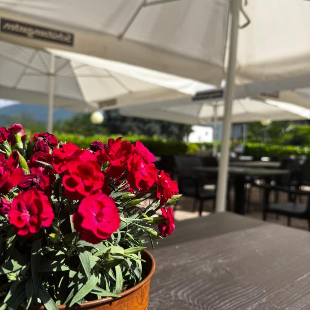 Image 10 - La Locanda del Gusto