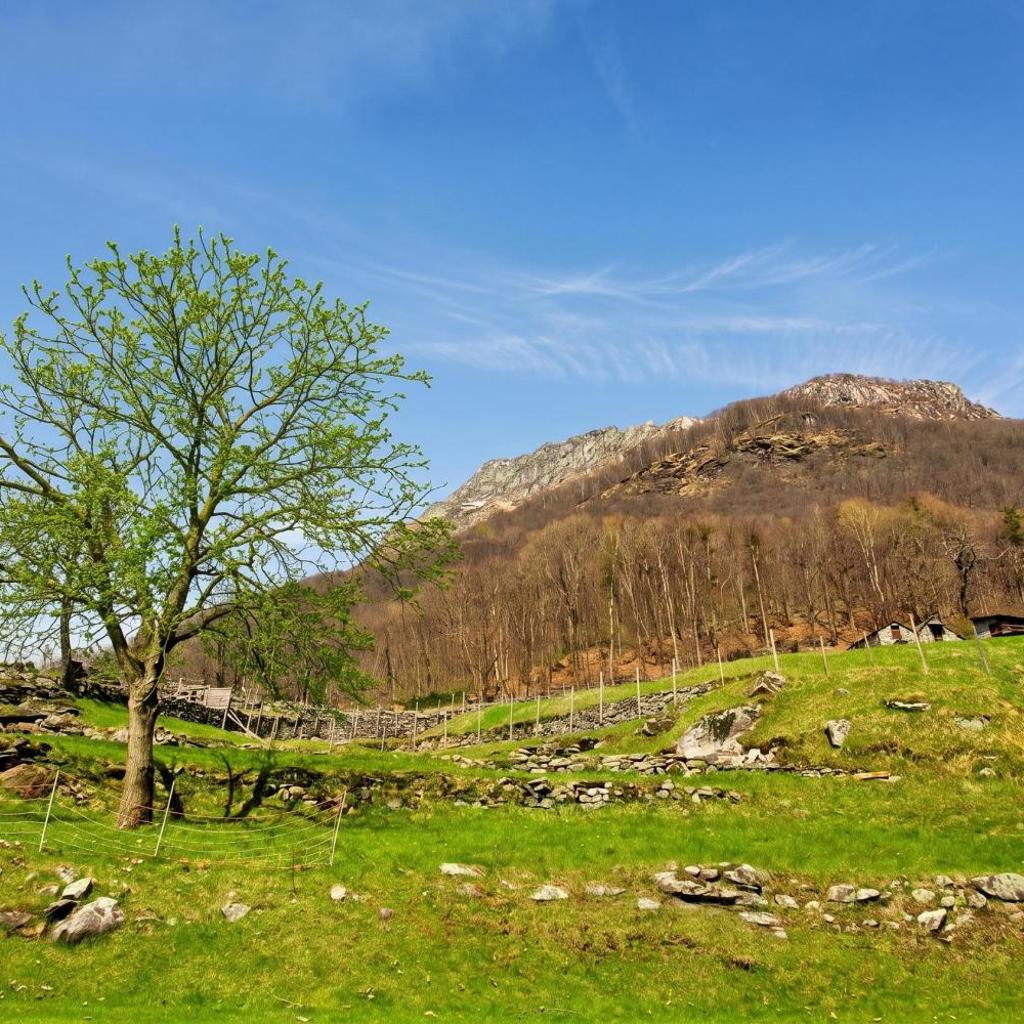 Image 22 - Rustico Esterina - Val Verzasca - Happy Rentals