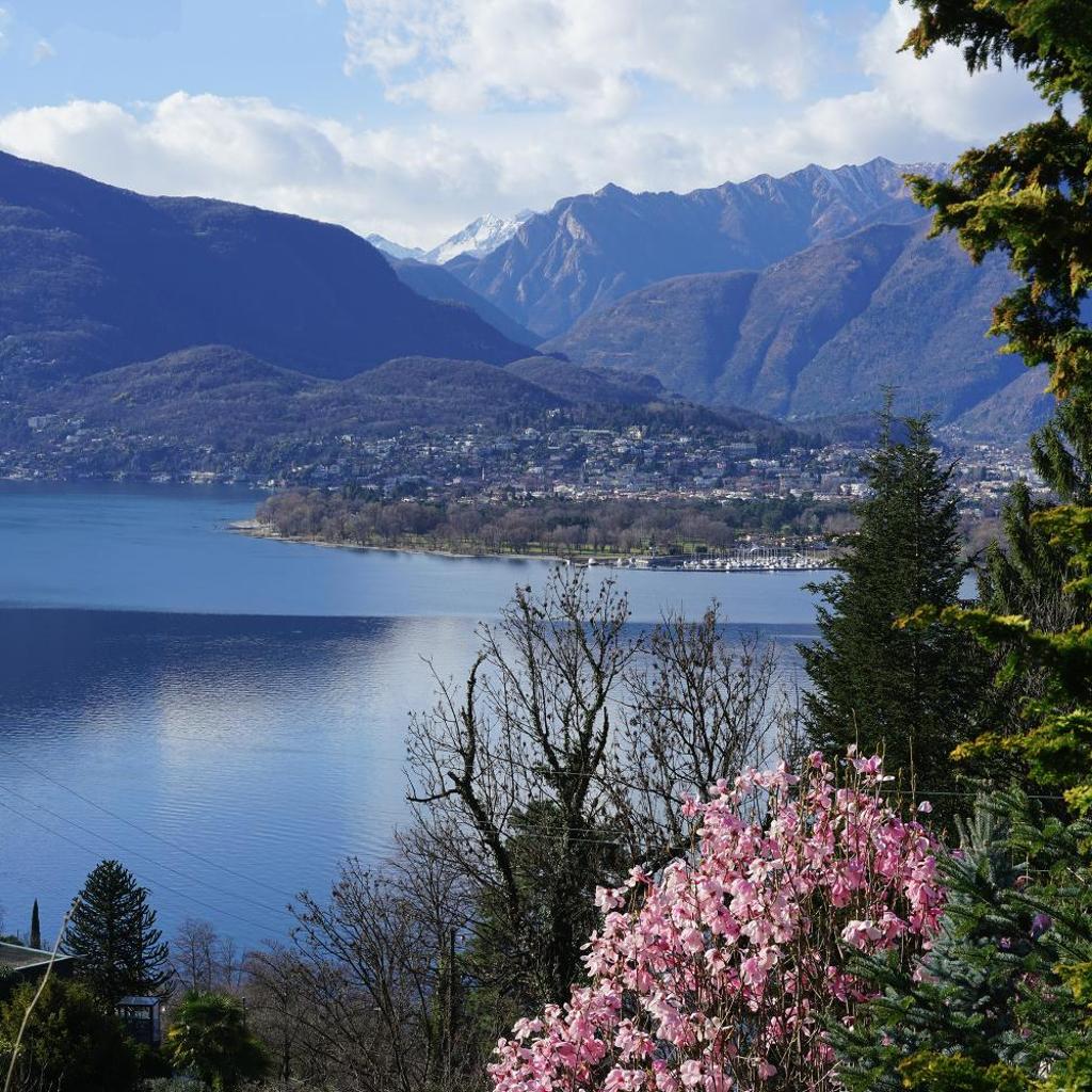 Image 16 - Garden on the lake 1 - Happy Rentals