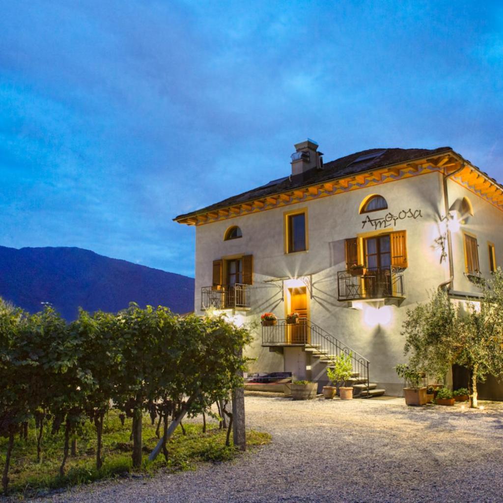 Image 7 - Agriturismo Fattoria l'Amorosa